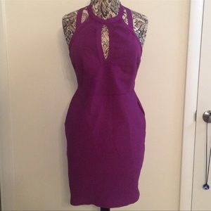 NWT sexy purple dress